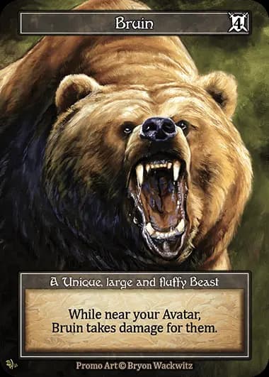 Bruin