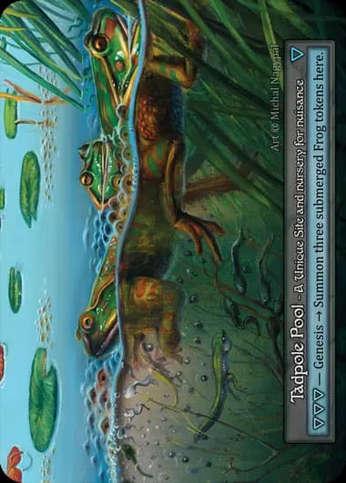 Tadpole Pool