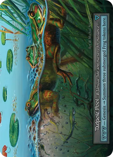 Tadpole Pool