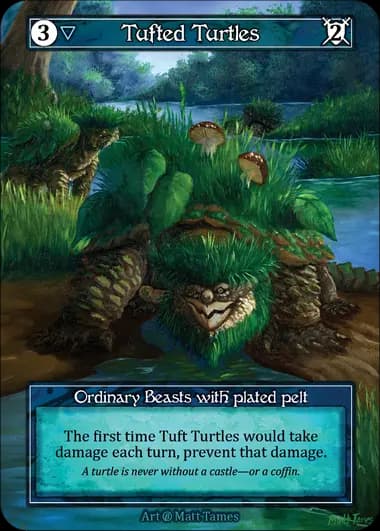 Tufted Turtles