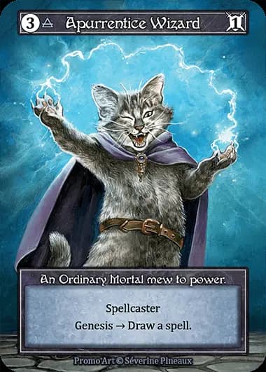 Apprentice Wizard
