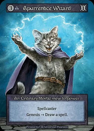 Apprentice Wizard