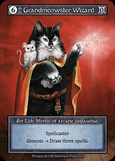 Grandmaster Wizard