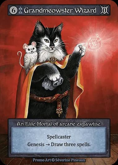 Grandmaster Wizard